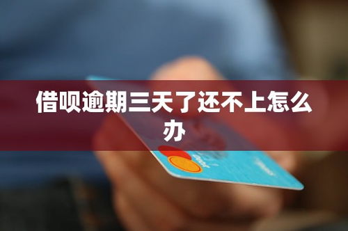 借呗逾期了怎么办？从哪里借来还？
