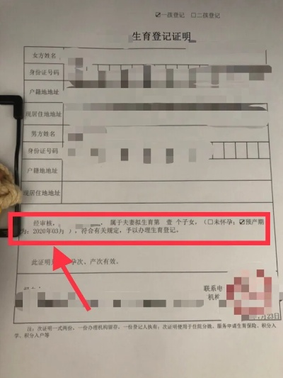 怎么办理准生证？材料不全被退回？一文说清流程+避坑指南