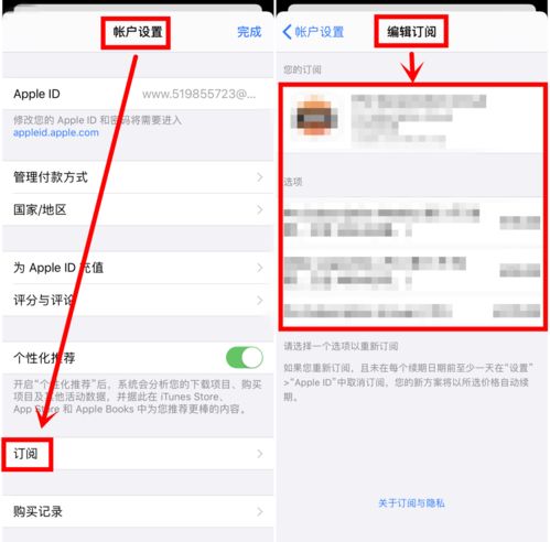 贷款逾期被短信轰炸？别慌！教你三步化解危机，还能止损上岸