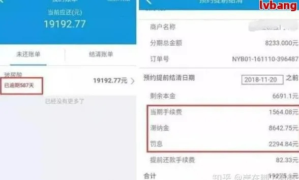 哪里看借呗的逾期记录？逾期了如何补救？