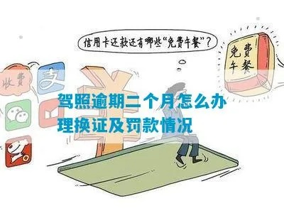 手机在哪里看驾照逾期了？驾照逾期了怎么办？