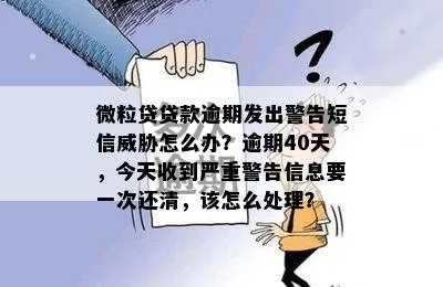 信用贷款逾期短信天天炸？别慌，3步自救法让你重掌主动权！