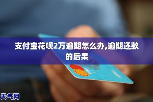 支付宝哪里看花呗逾期？逾期了怎么办？