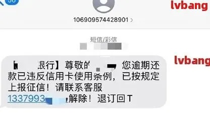 收到贷款逾期短信别慌！是真是假？怎么应对才不吃亏？