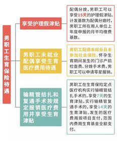 生育保险怎么买？没单位自己交怎么办？生完才发现没参保急不急？