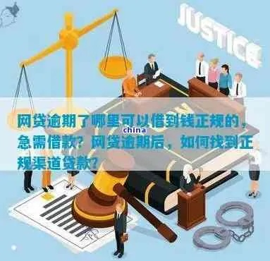 逾期了还能从哪里借到钱？紧急借款途径全解析