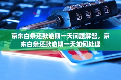 白条逾期联系地址是哪里？逾期后如何妥善应对？