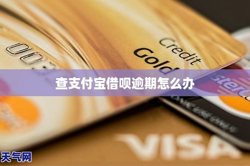 怎么查自己哪里有逾期的？突然逾期了怎么办？