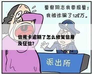 逾期征信花哪里可以借钱？教你如何破局修复信用