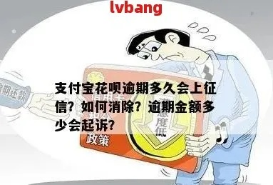 花呗逾期在哪里上传凭证？律师教你如何应对逾期风险