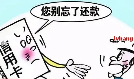 逾期还款在哪里查的出？避免信用污点的小妙招