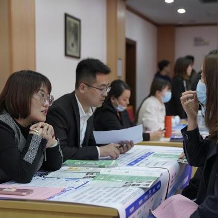 学历编号怎么查？一招教你快速验证真假，别再被假文凭坑了！