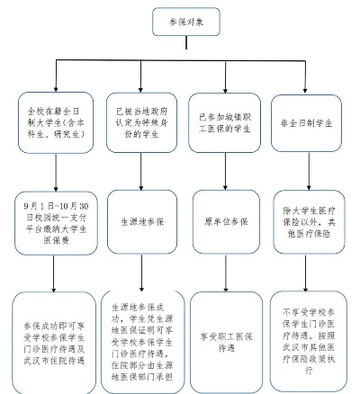 学生医保怎么报销？流程搞不清？别急，一篇说透！