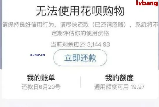 从哪里看花呗逾期记录呢？逾期了怎么办？资深律师教你守护信用财富
