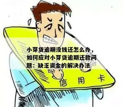 逾期了哪里可以小额借钱？紧急资金如何合法解决？