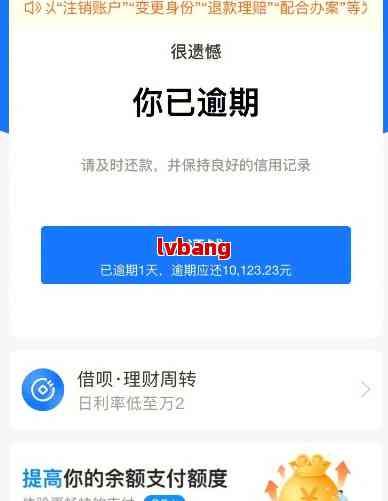 花呗逾期了怎么办？从哪里查看逾期记录？