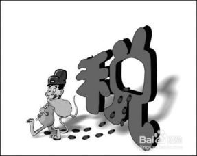 逾期交税去哪里交啊？突然逾期了怎么办？