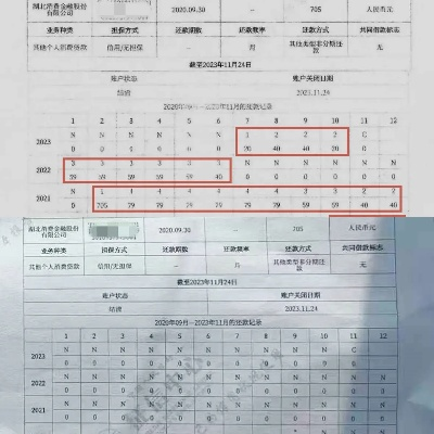征信报告哪里查逾期记录？逾期了如何补救？