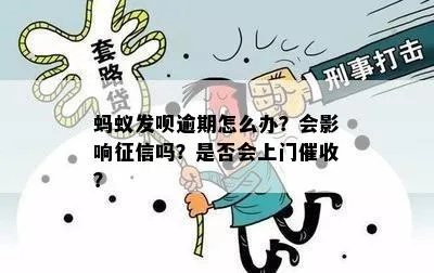 网贷逾期了怎么办？催收上门、征信花掉，还能翻身吗？