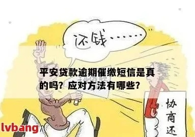 收到贷款逾期短信别慌！真假难辨？一招教你识破套路，守住钱袋子
