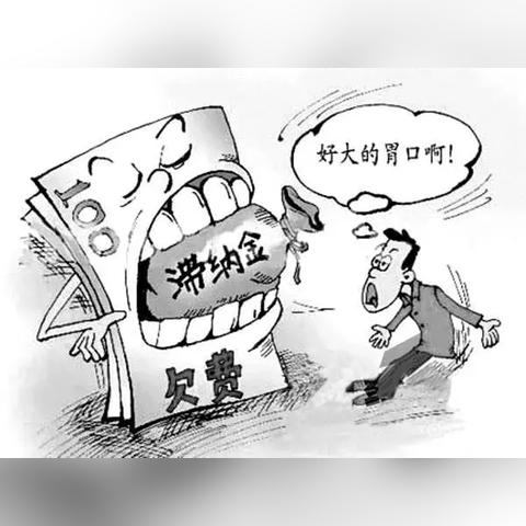 税收逾期申报在哪里查？逾期了怎么办？