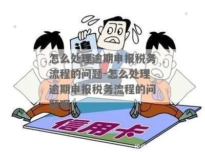 税务逾期申报去哪里办理？逾期了别慌，一步步解决！