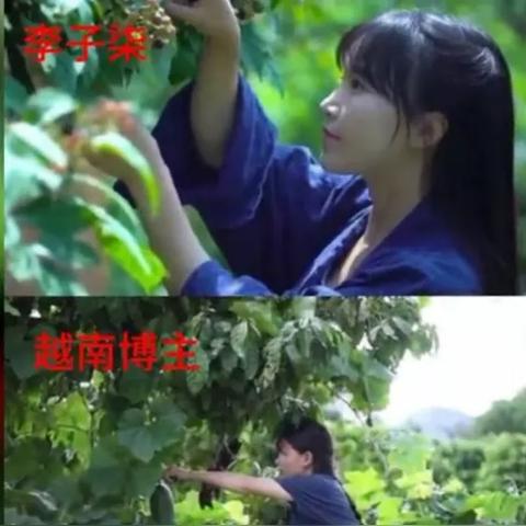 怎么申请版权？作品被抄袭了怎么办？