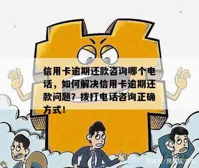 哪里找逾期客户电话？合法催收的正确步骤是什么？
