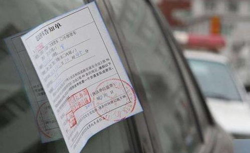 汽车逾期罚款在哪里罚款？突然收到罚单怎么办？