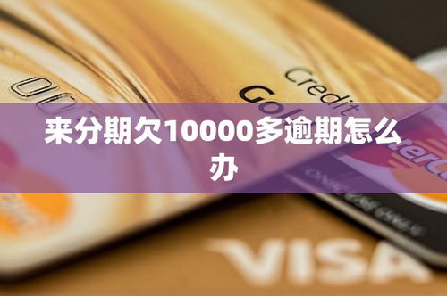 来分期在哪里查看逾期？逾期了怎么办？