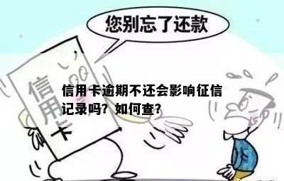 逾期哪里能查到征信？别让不良记录毁了你的信用！