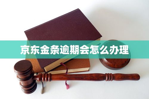 京东金条逾期在哪里查到？逾期了怎么办？