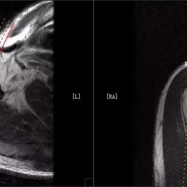单位编码怎么查?一招教你快速定位,信息不迷路! 单位编码怎么查?一招教你快速定位,信息不迷路!