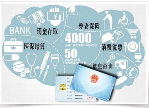 企业交社保怎么交？不规范操作小心赔了夫人又折兵！