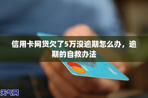 网贷逾期去哪里报案？逾期了如何自救？