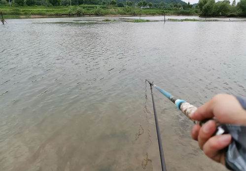 销售利润率怎么算？算错了可能亏钱还不自知！