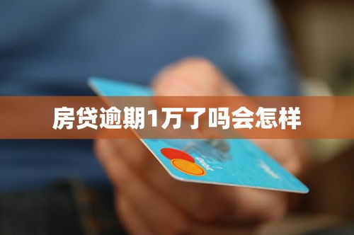房贷逾期了怎么办？逾期后在哪里还钱？