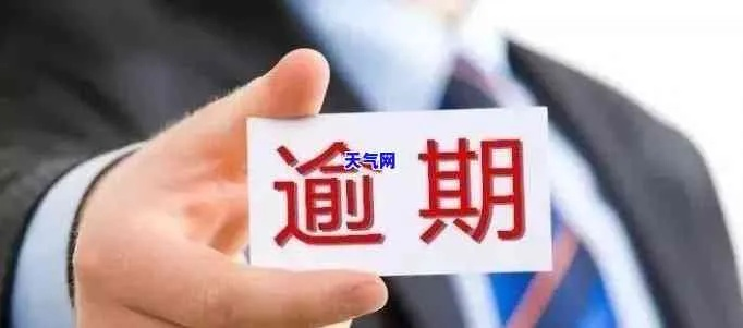 借款逾期了怎么办？揭阳哪里可以专业咨询？