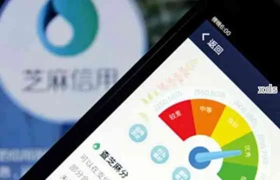 芝麻信用逾期哪里查询？逾期记录如何修复？