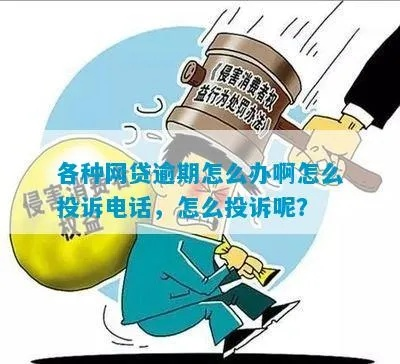 网贷逾期了怎么办？投诉哪里最有效？