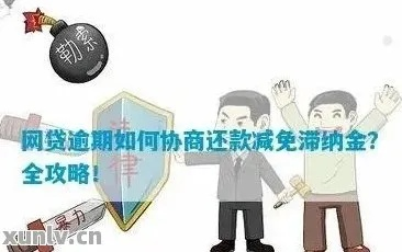 正在逾期哪里可以贷款？逾期后如何避免陷阱？