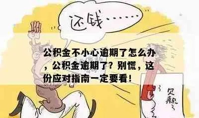 公积金贷款逾期收到短信？别慌！一招教你化解危机，避免信用爆雷