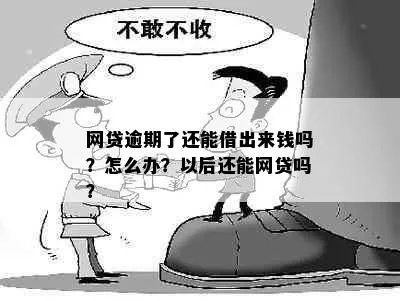 网贷逾期了还能去哪里借钱？突然逾期了怎么办？