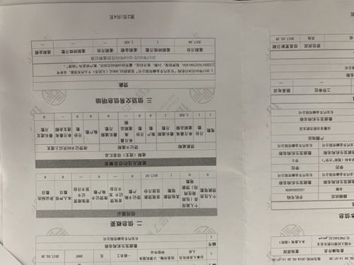征信报告怎么查？一招搞懂，别再稀里糊涂被信用绊倒！