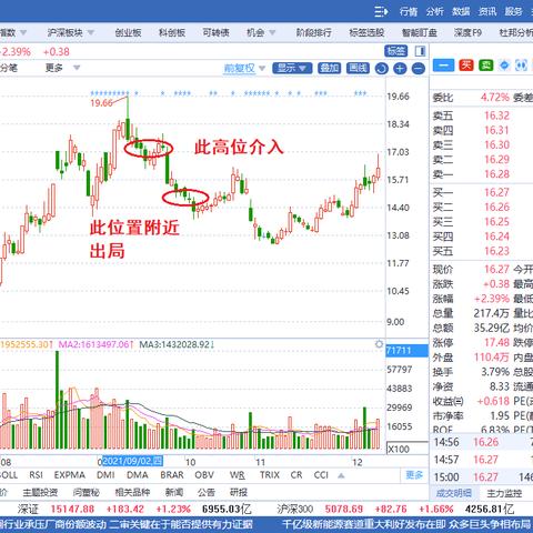 股票账户怎么开？新手必看的避坑指南，一步到位不走弯路！