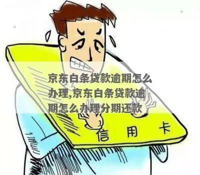 京东白条逾期被短信轰炸？别慌！3步自救指南+法律红线一次说清
