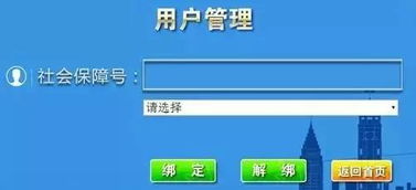 社保编号怎么查？手把手教你5种实用方法，错过可能影响养老金！