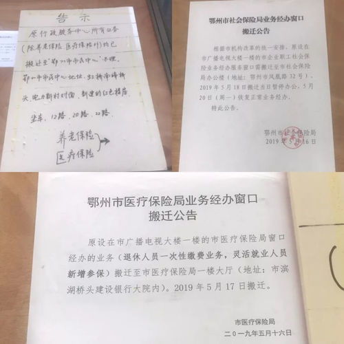 关系证明怎么开？别再跑冤枉路了，一文讲清所有门道！