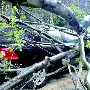 出了事故别慌！三步走稳处理流程，赔得明白、伤得少亏