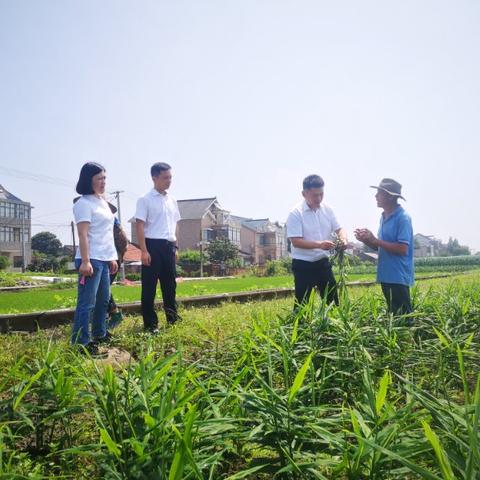 企业贷款逾期了，短信天天催？别慌！三步自救指南帮你稳住局面